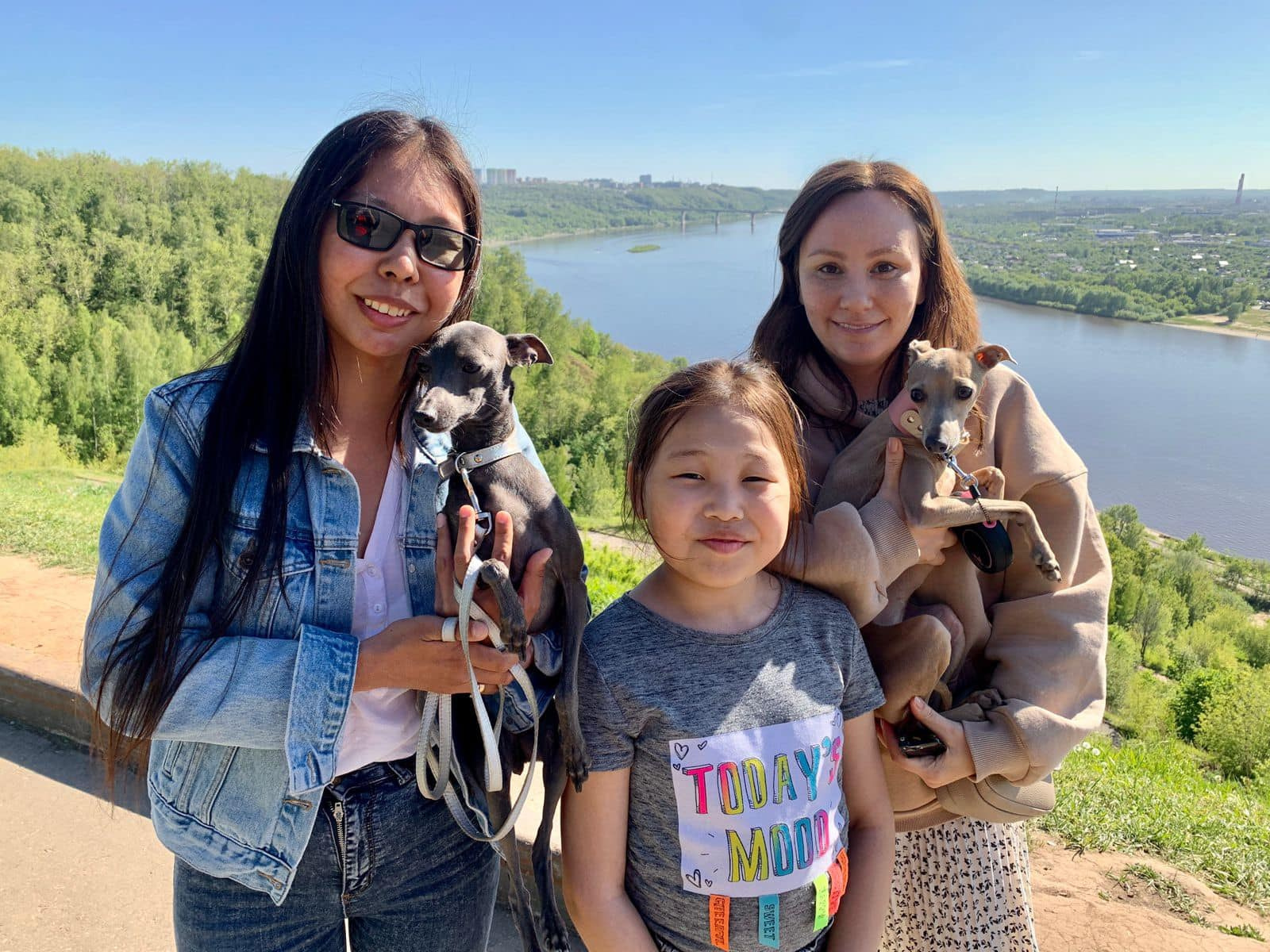 Профессиональный питомник левреток РКФ/FCI ASTI SAPPHIRE 💎 Сочи|Санкт-Петербург