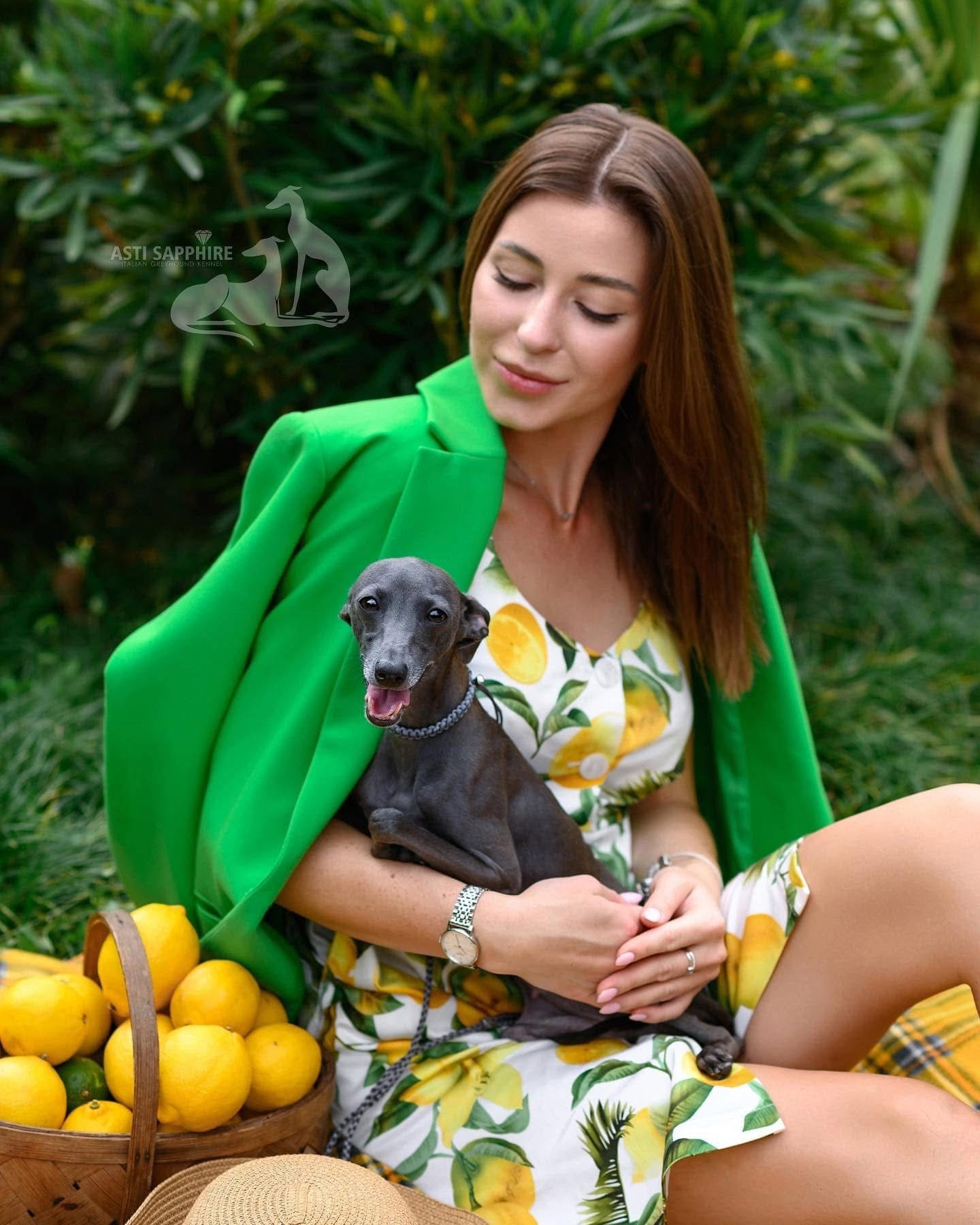 Весенние крошки. Профессиональный питомник левреток РКФ/FCI ASTI SAPPHIRE 💎 Сочи|Санкт-Петербург