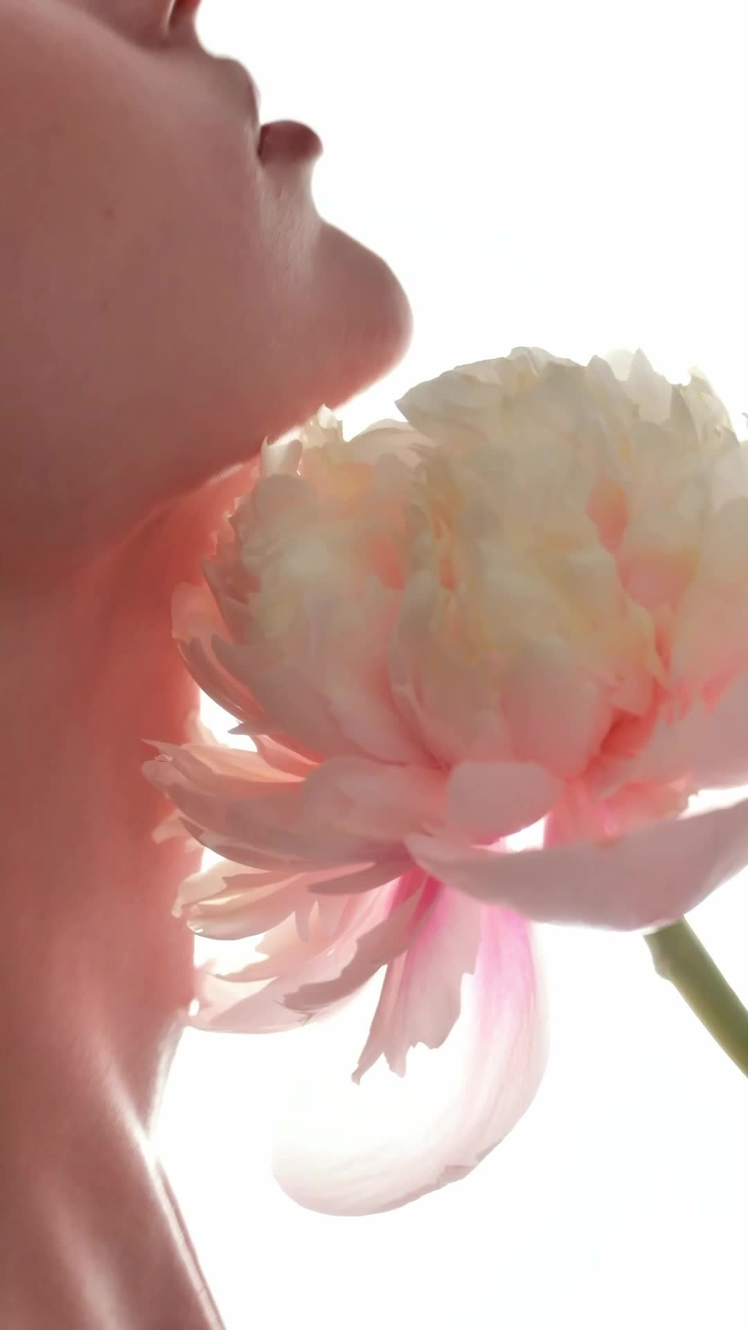 Видео. Каталожная съемка фото и видео для маркетплейсов Москва