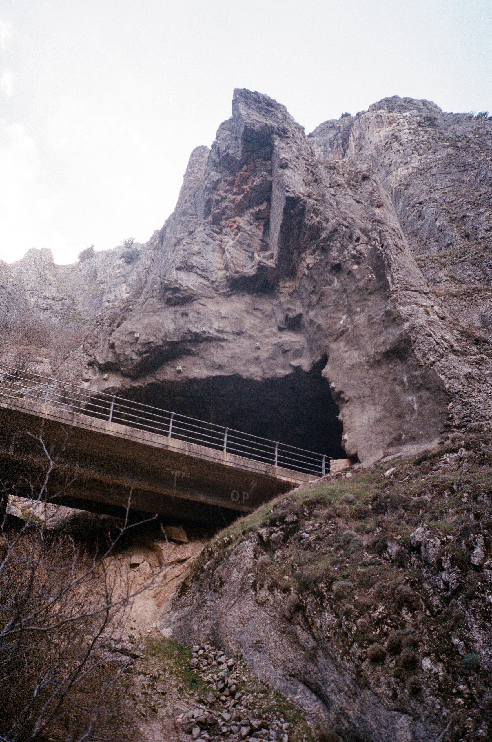 Надя Шумина