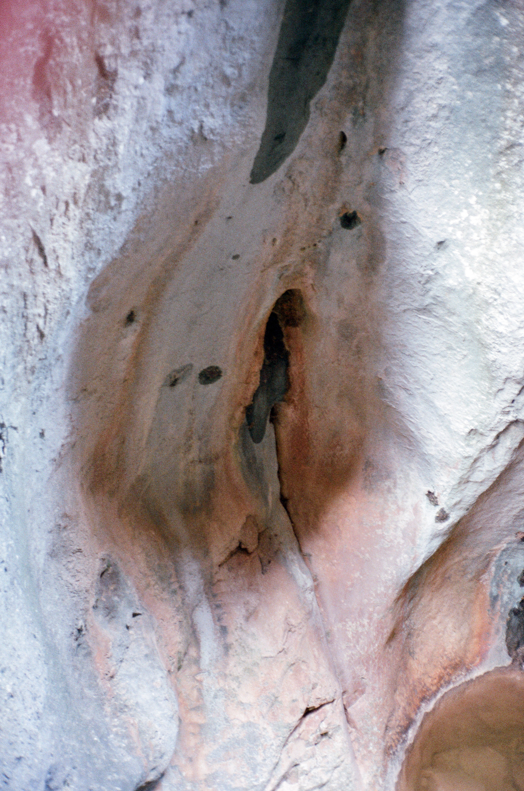 Надя Шумина