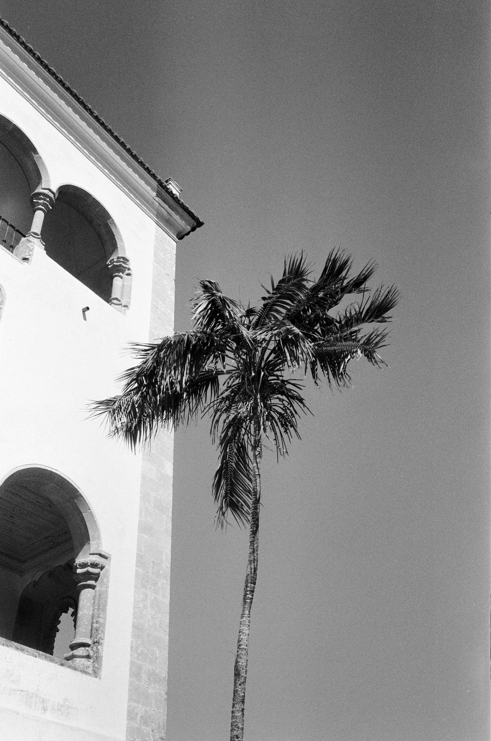 Надя Шумина