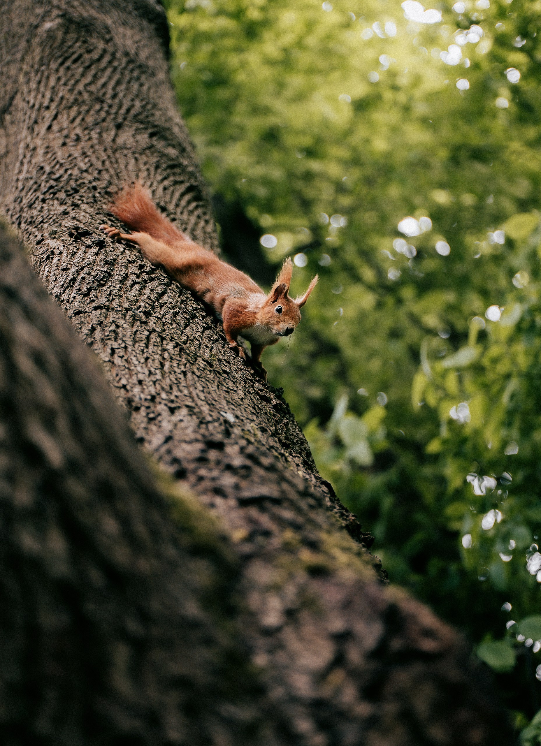 Илья Казанков. Фотограф и графический дизайнер из Калининграда