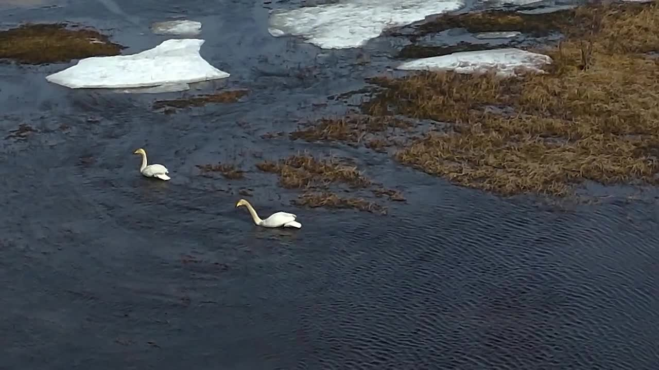 Видео. Фотограф Татьяна Борисова