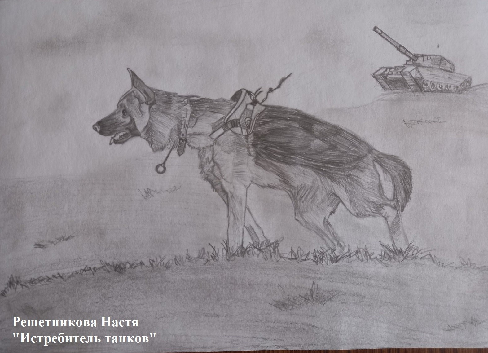 Мероприятия для юных кинологов — «Помним их имена», «Портрет фронтовой собаки». НРОО КЦ "Собаковод"