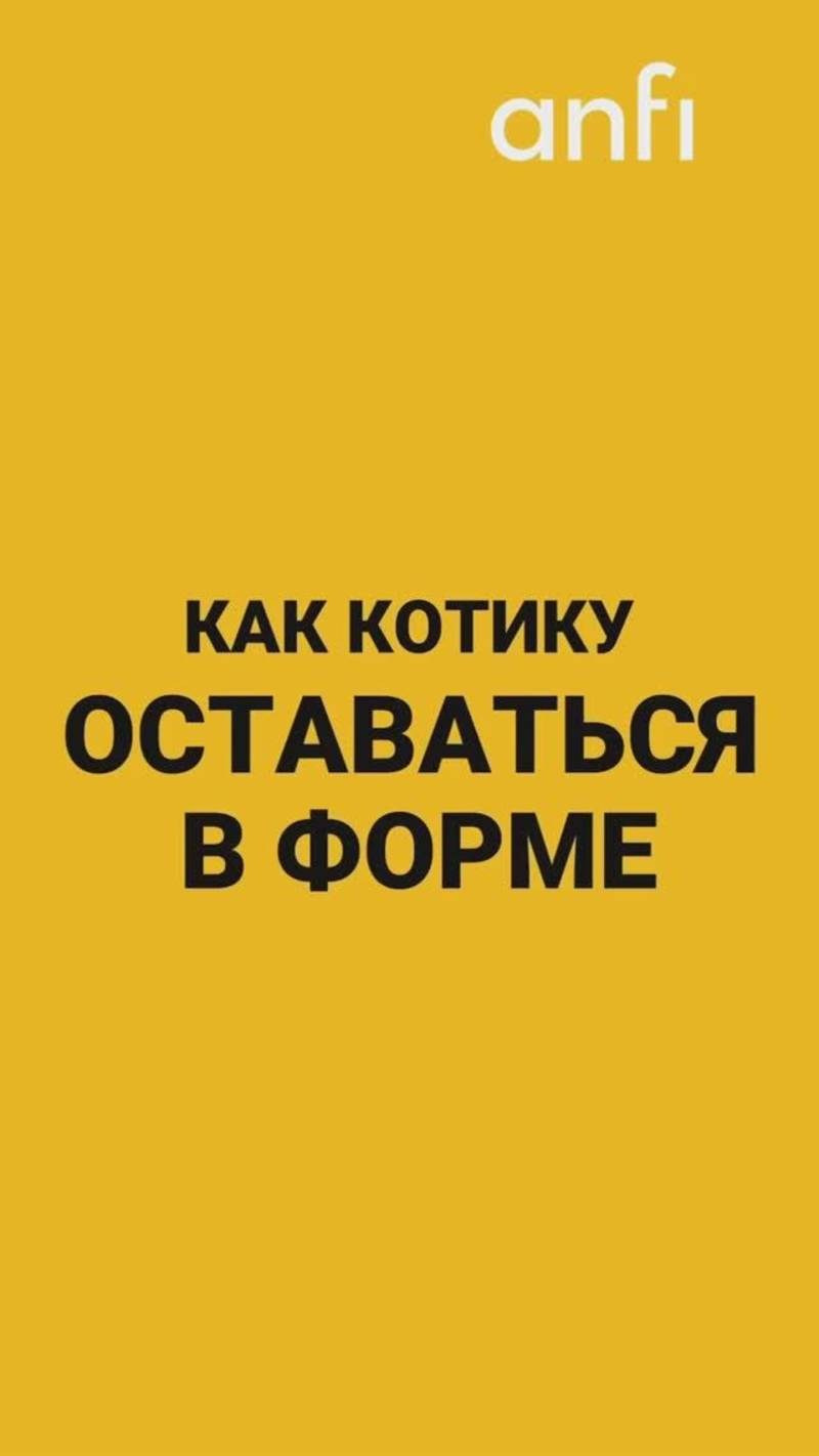 Видео продукт. Тархановский Павел Фото/Видео съёмка