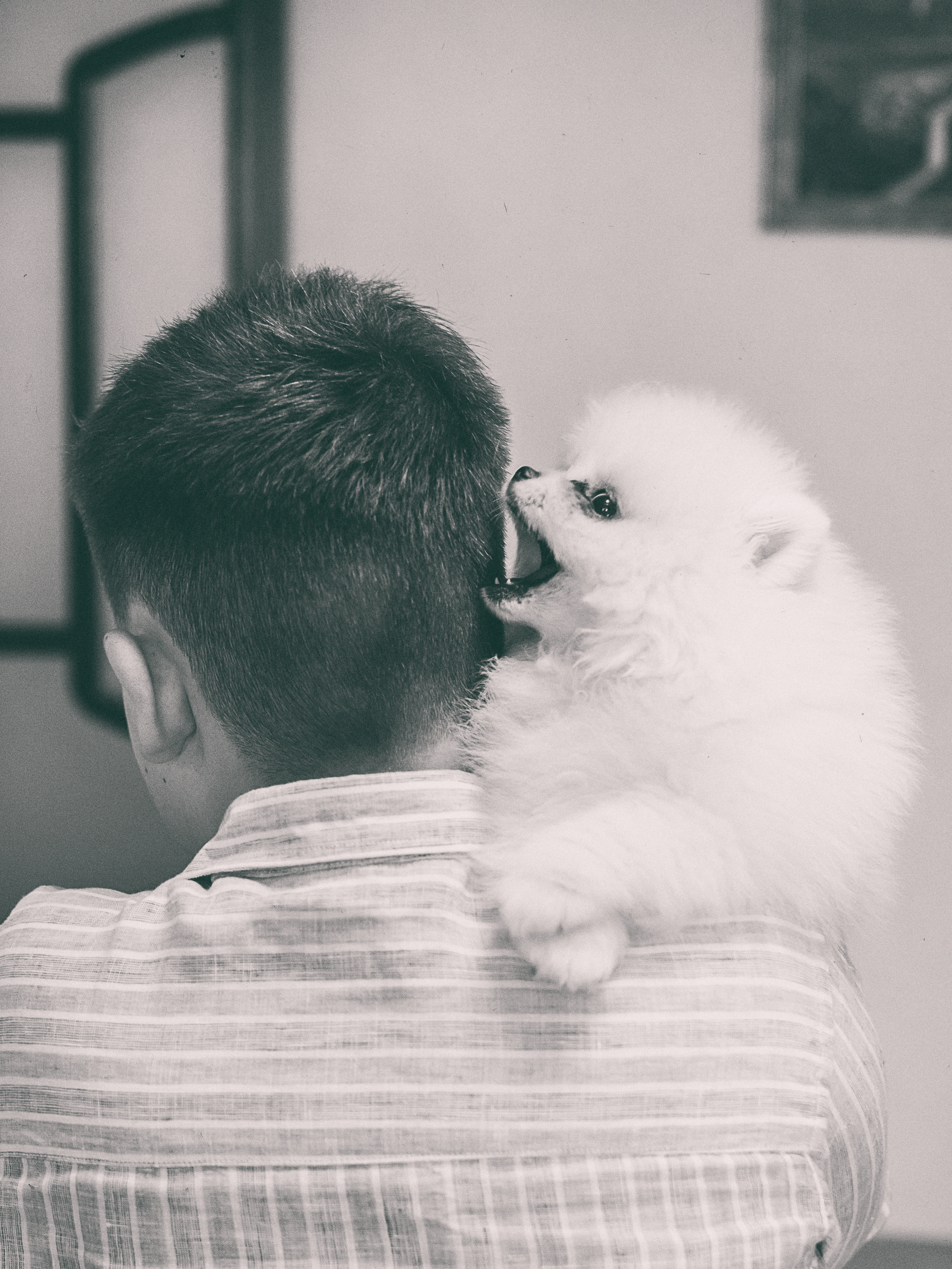 фотограф в Севастополе, фотосессия в Севастополе, семейная фотосессия в Севастополе, детский фотограф в Севастополе, семейный фотограф в Севастополе, фотограф Севастополь, услуги фотографа Севастополь, фотопрогулка Севастополь