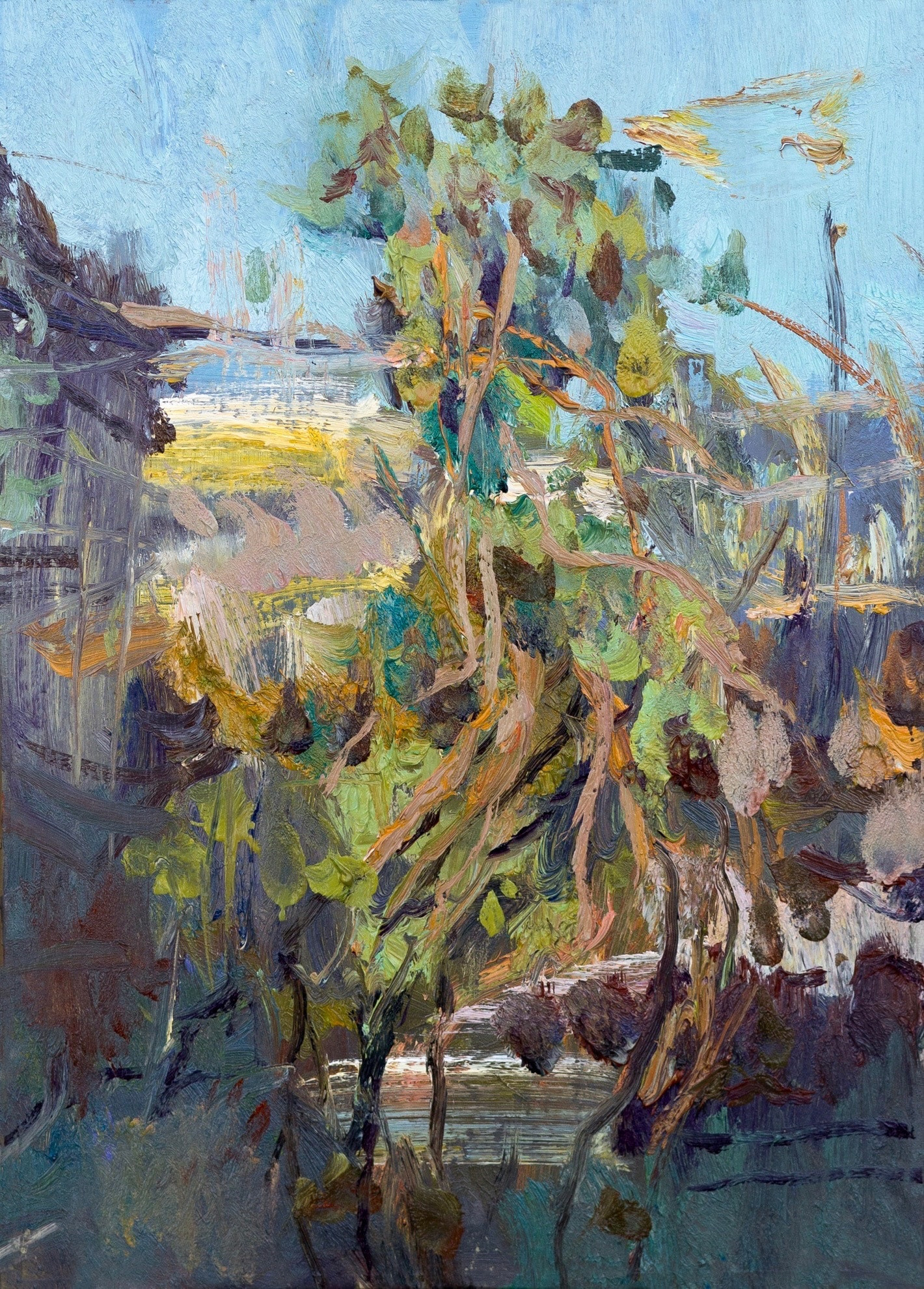 молодой виноград