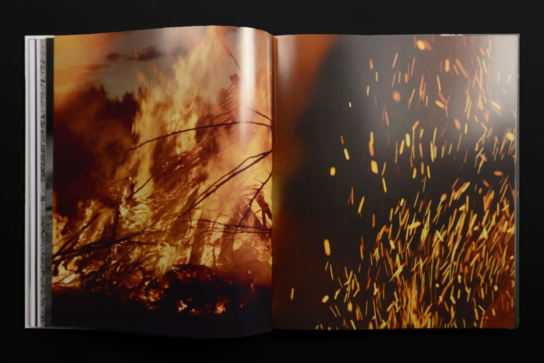 ИНТЕРВЬЮ С АВТОРАМИ: Maja Daniels. Самоорганизация Низина