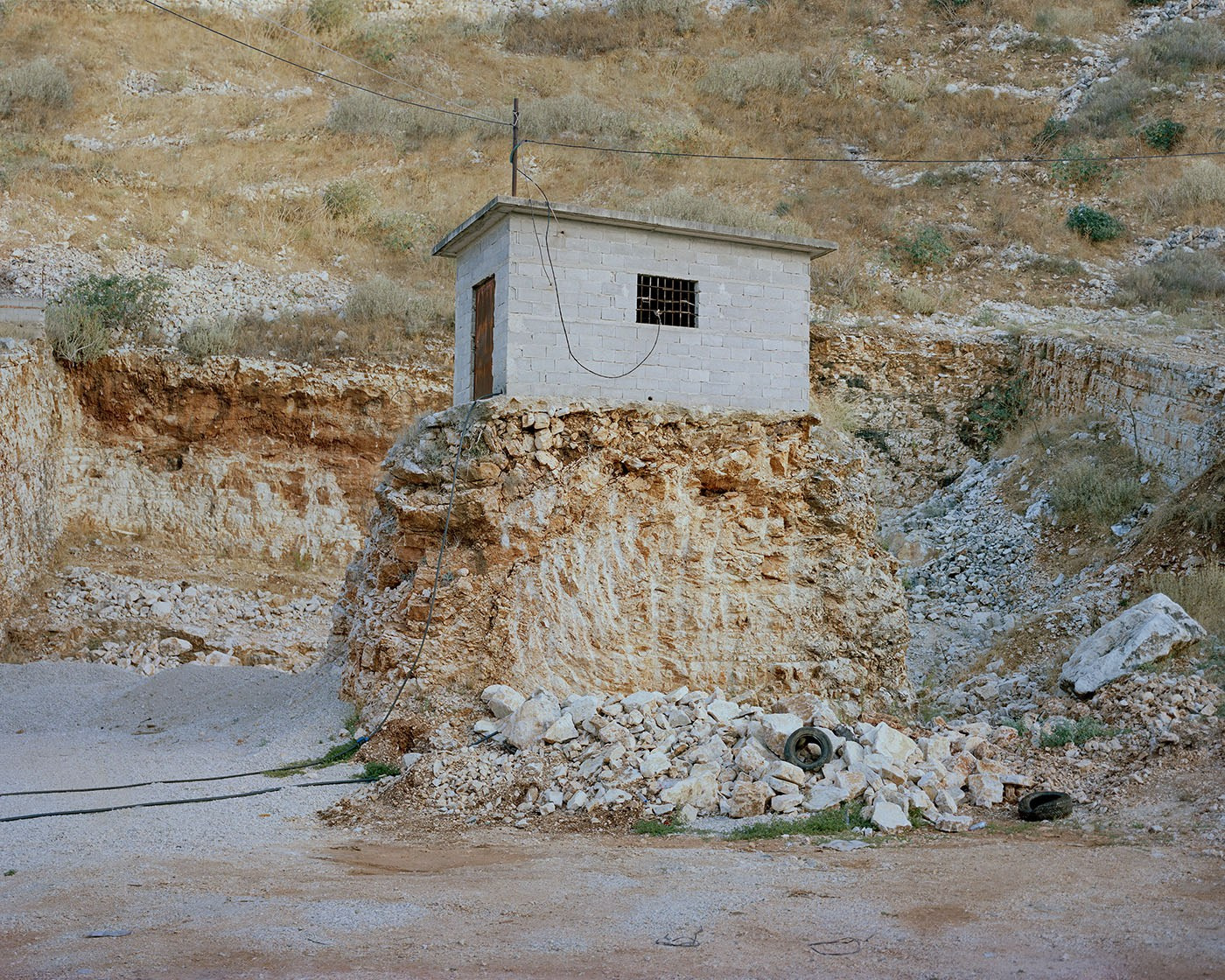 Проект Balazs Turos «The nature of things». Private image