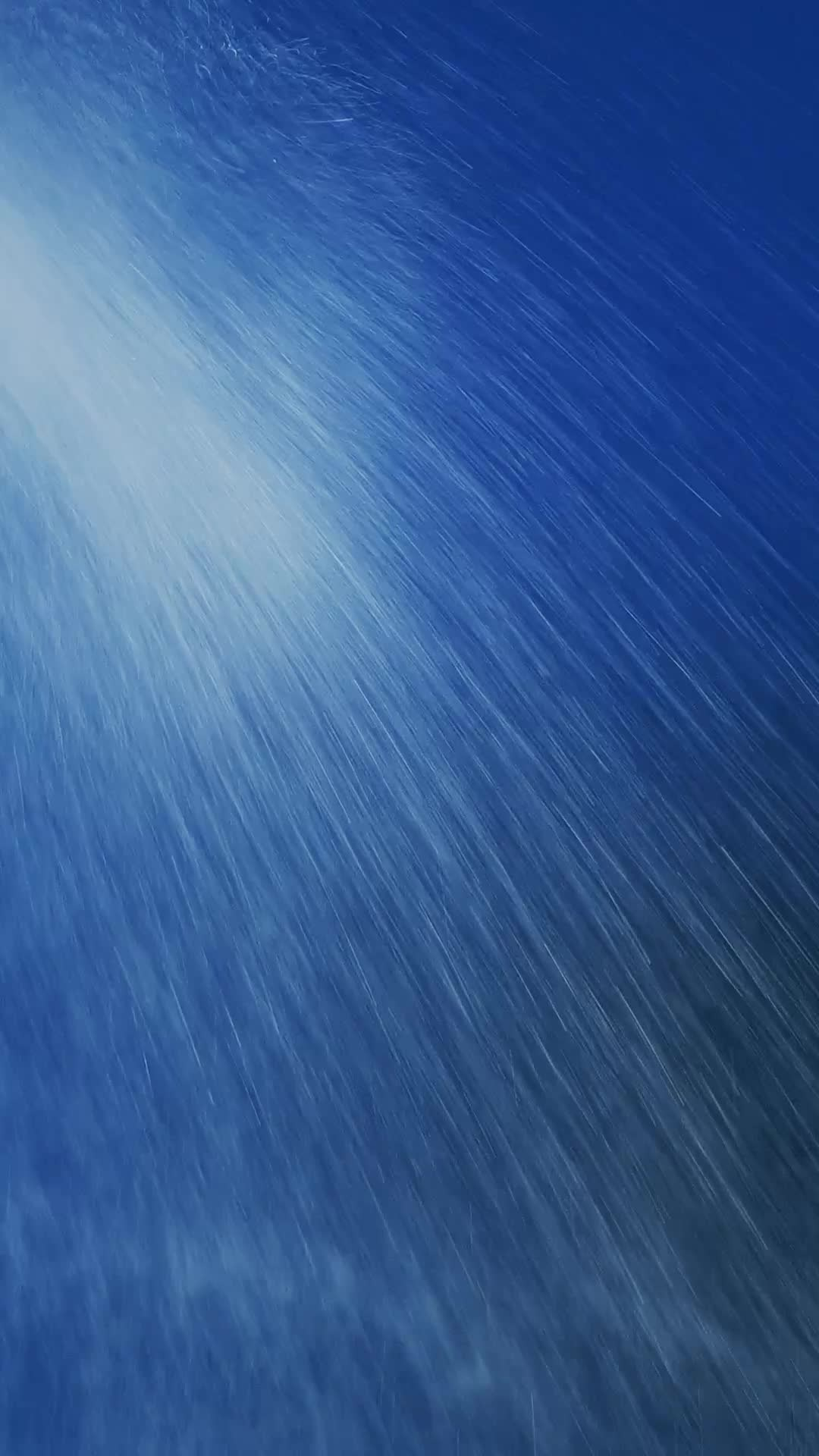 Видео. Каталожная съемка фото и видео для маркетплейсов Москва