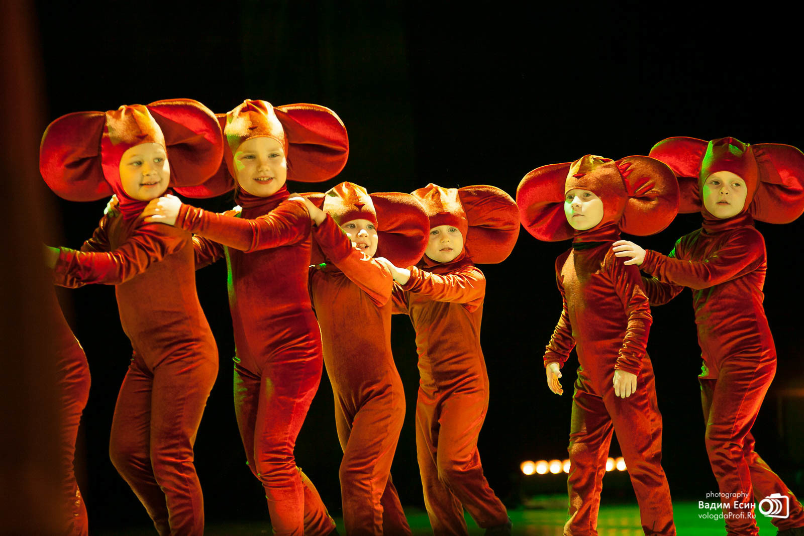 Съемка концерта в Вологде