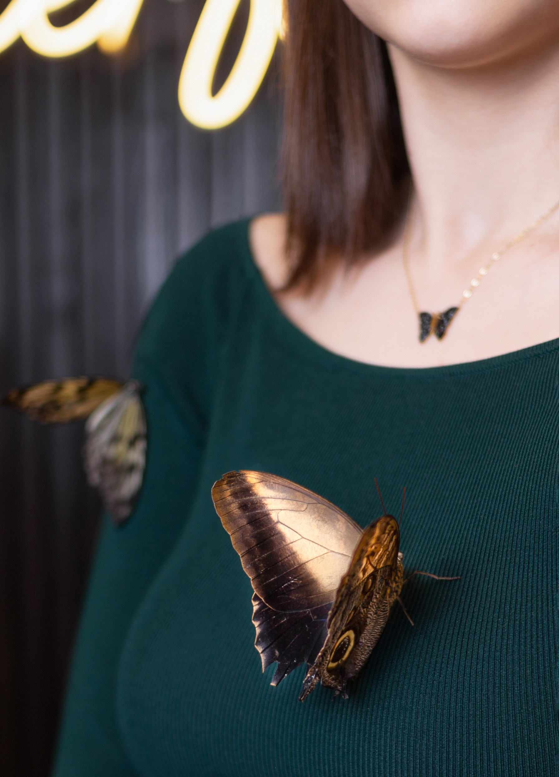 Фотосессия с тропическими бабочками в Минске. Фотограф в Минске Екатерина Тузова