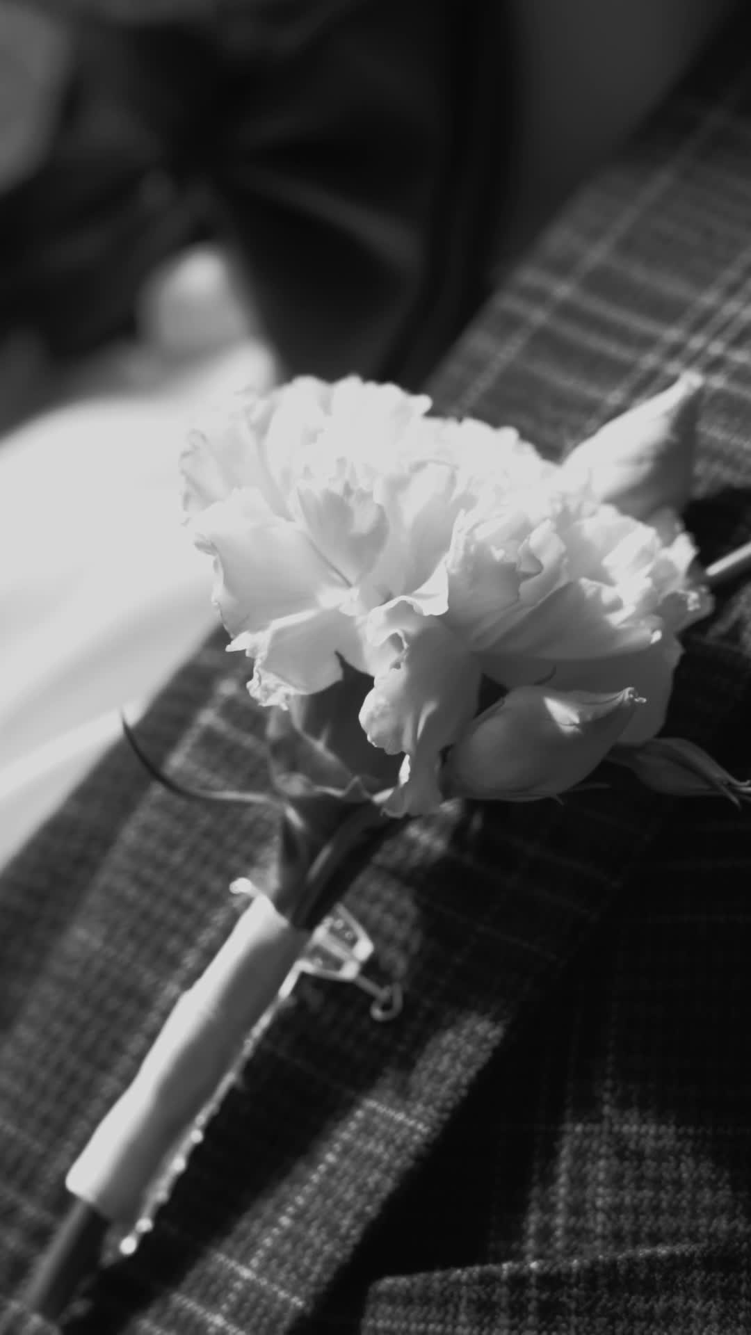 Свадебные видео. Свадебный и репортажный фотограф Дмитрий Кононенко