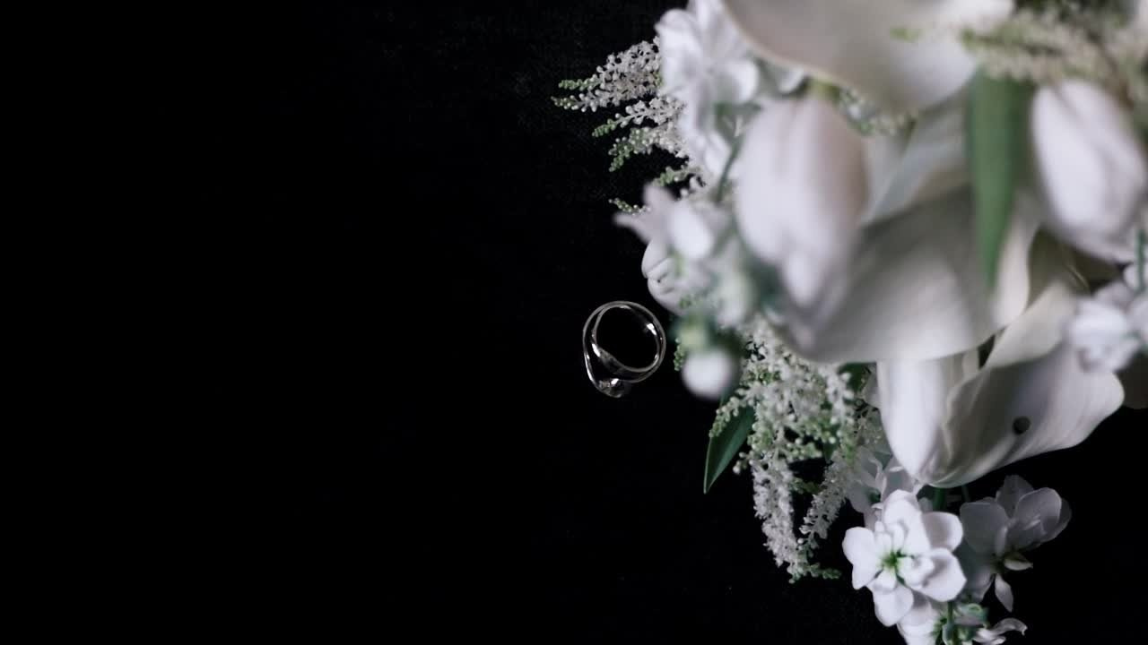 Портфолио видео. Алина Малышева, свадебный и семейный фотограф Москва