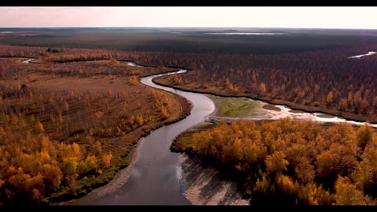 Видео. Фотограф Татьяна Борисова