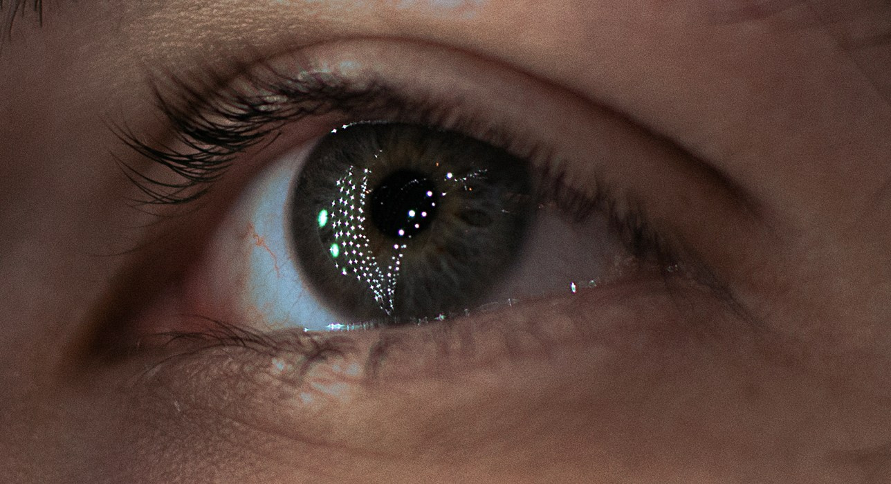 Фотограф, видеограф в Санкт-Петербурге