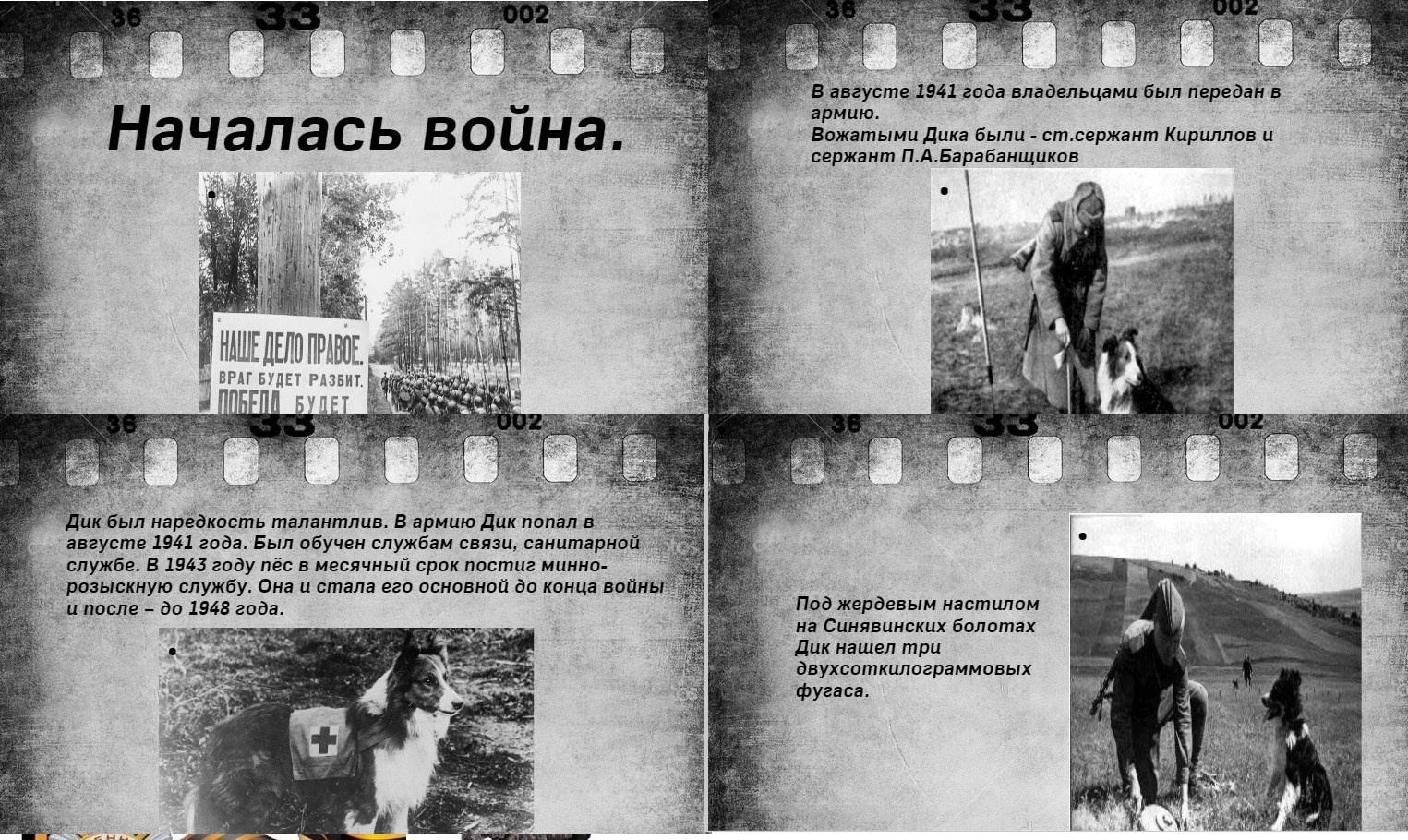 Мероприятия для юных кинологов — «Помним их имена», «Портрет фронтовой собаки». НРОО КЦ "Собаковод"