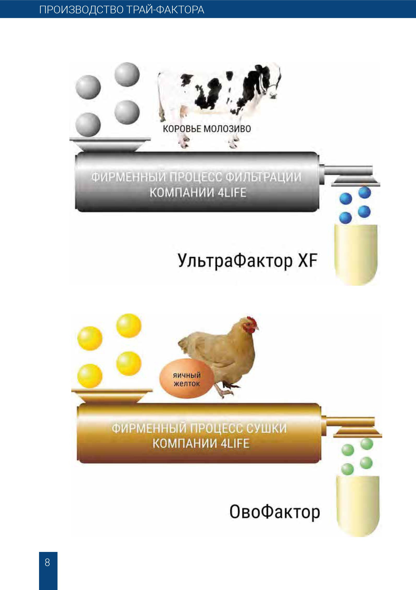Коровье молозиво и куриный желток и пептиды иммунной системы 4Life