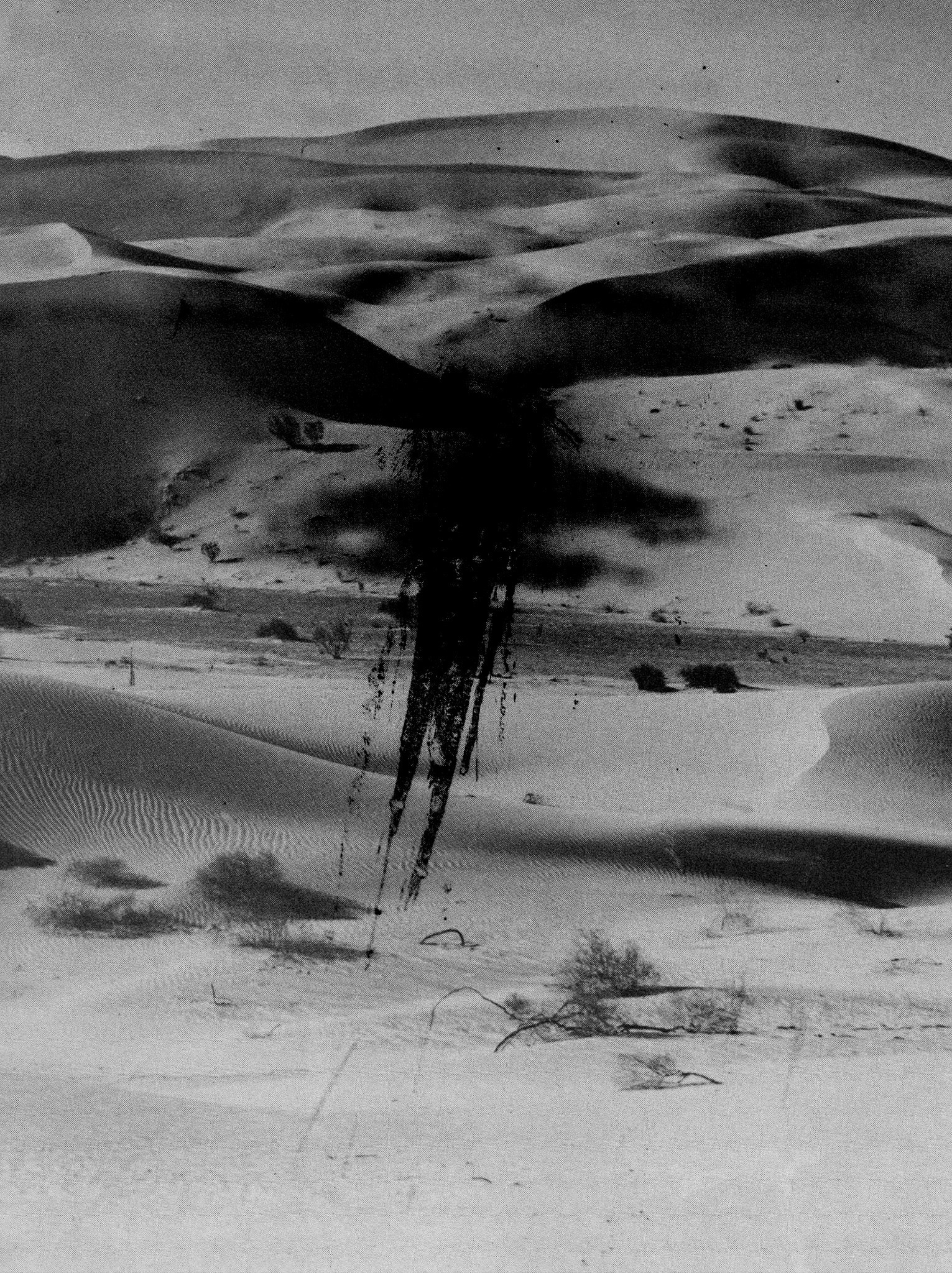 Проект «Somnia» Венкай Ван (Wenkai Wang). Private image