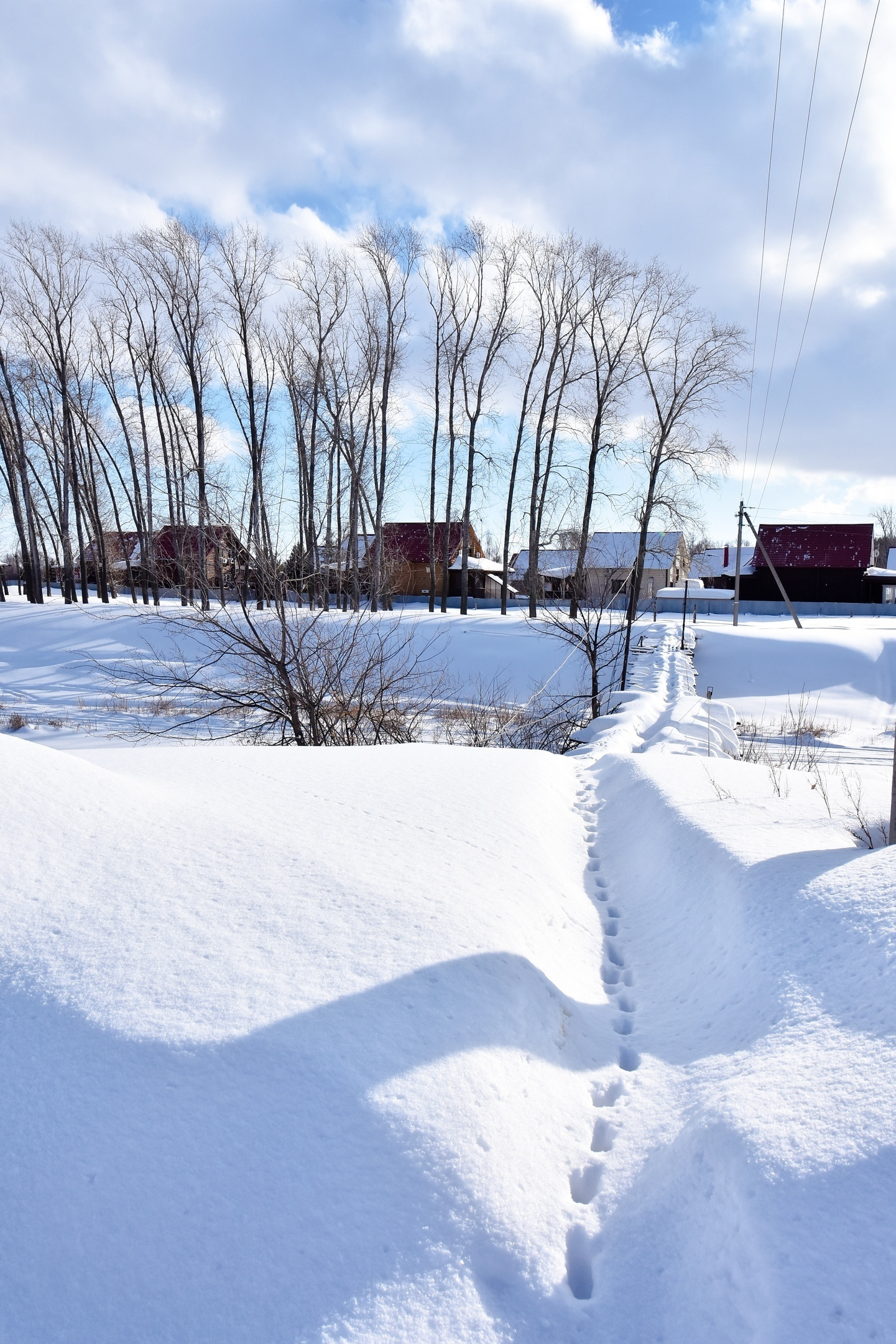 Семейный фотограф в Самаре Мария Компаниец
