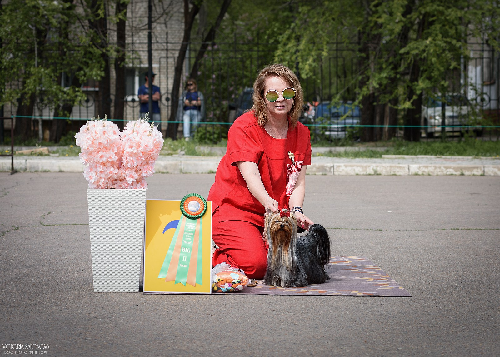 24–25 мая 2025. Благовещенск. Фотограф анималист Благовещенск. Сафонова Виктория