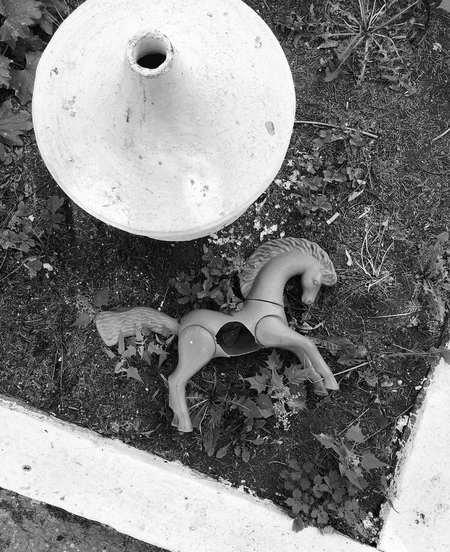 Black & White Cult. Контент фотограф в Санкт-Петербурге Виктория Усова