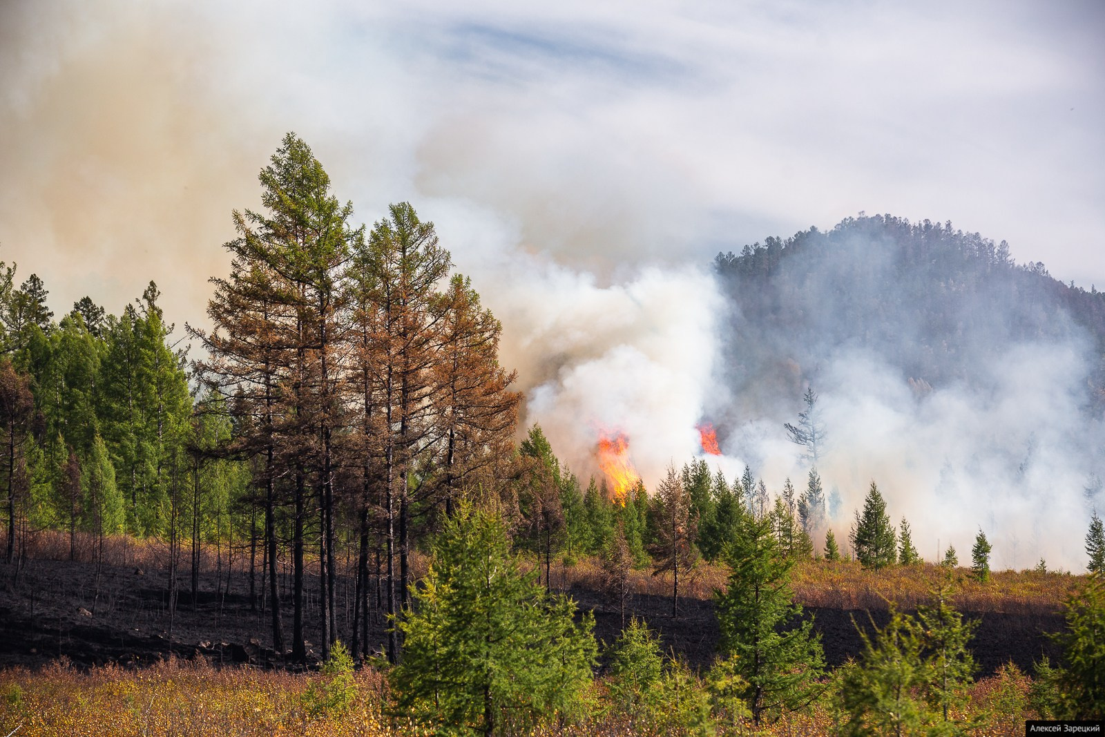 Фотограф Алексей Зарецкий