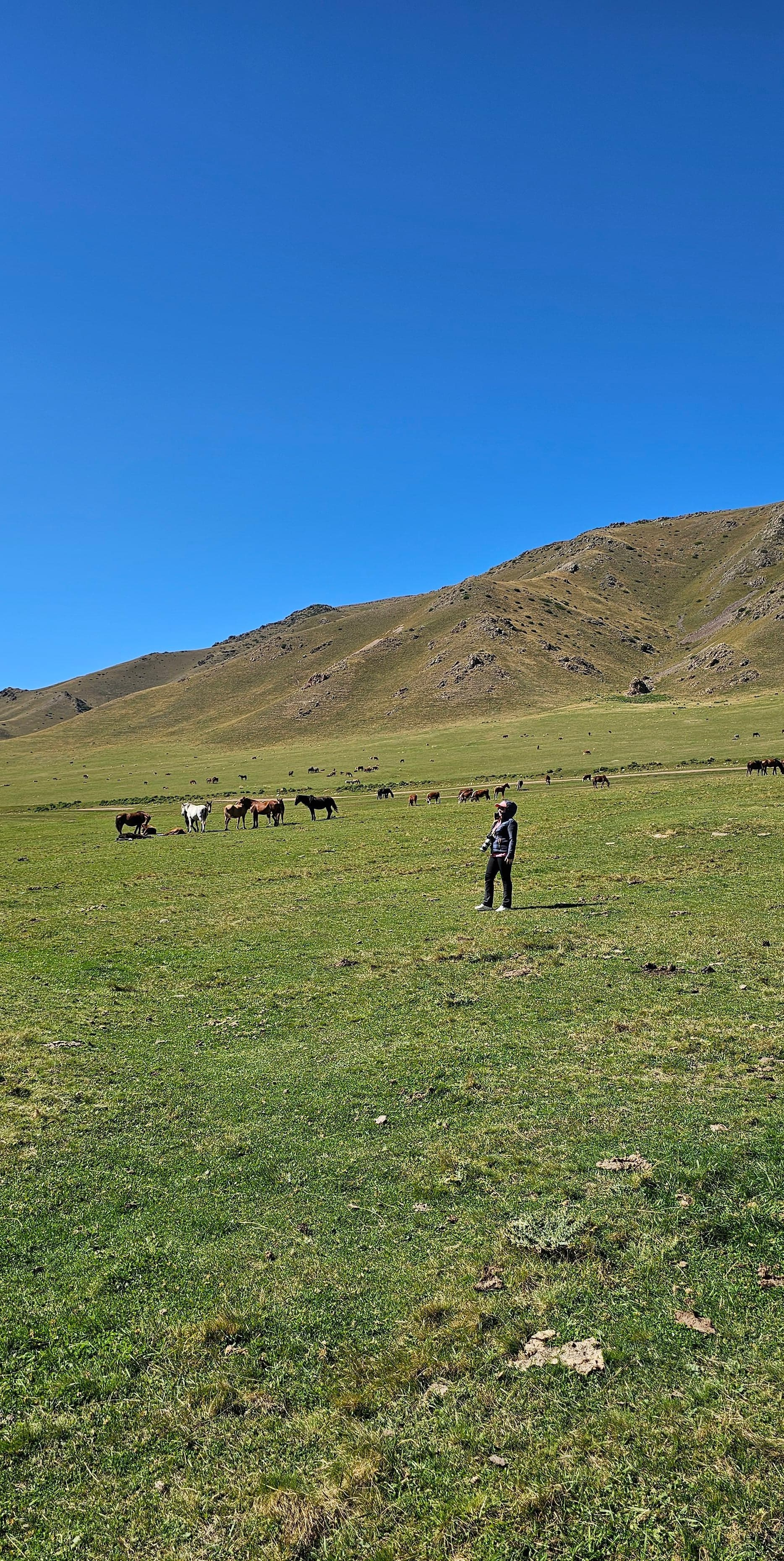 Экскурсия и тур на Плато Ассы, водопад Медвежий и озеро Иссык из Алматы