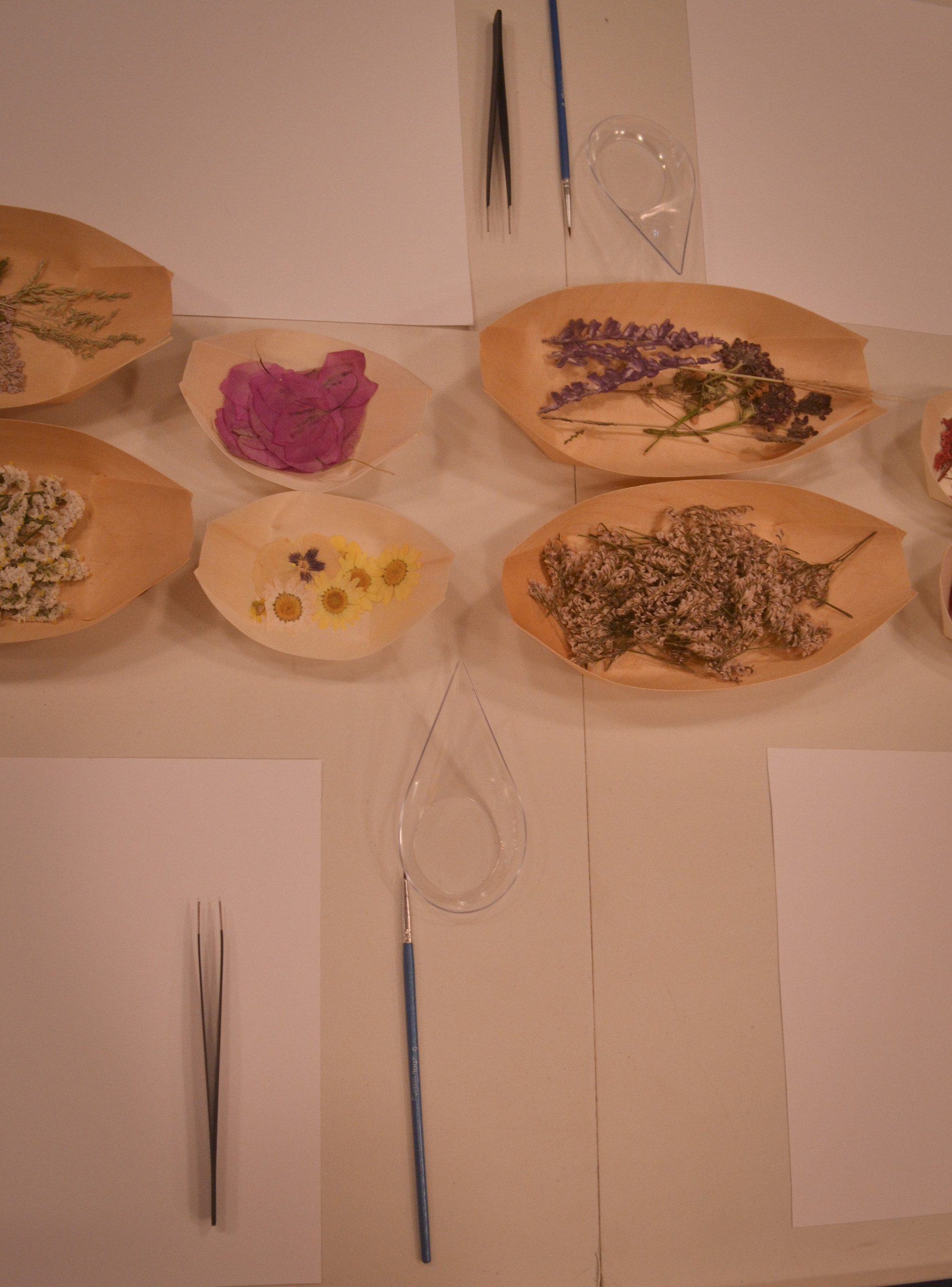 Отзывы. Photograper Israel/фотограф Израиль. ALINA TARAN