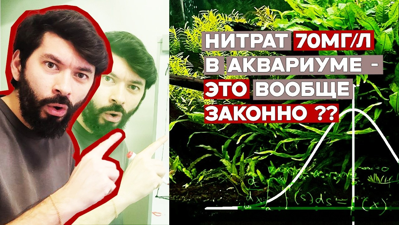 Видео. Аквариумист Максим Ерёмин