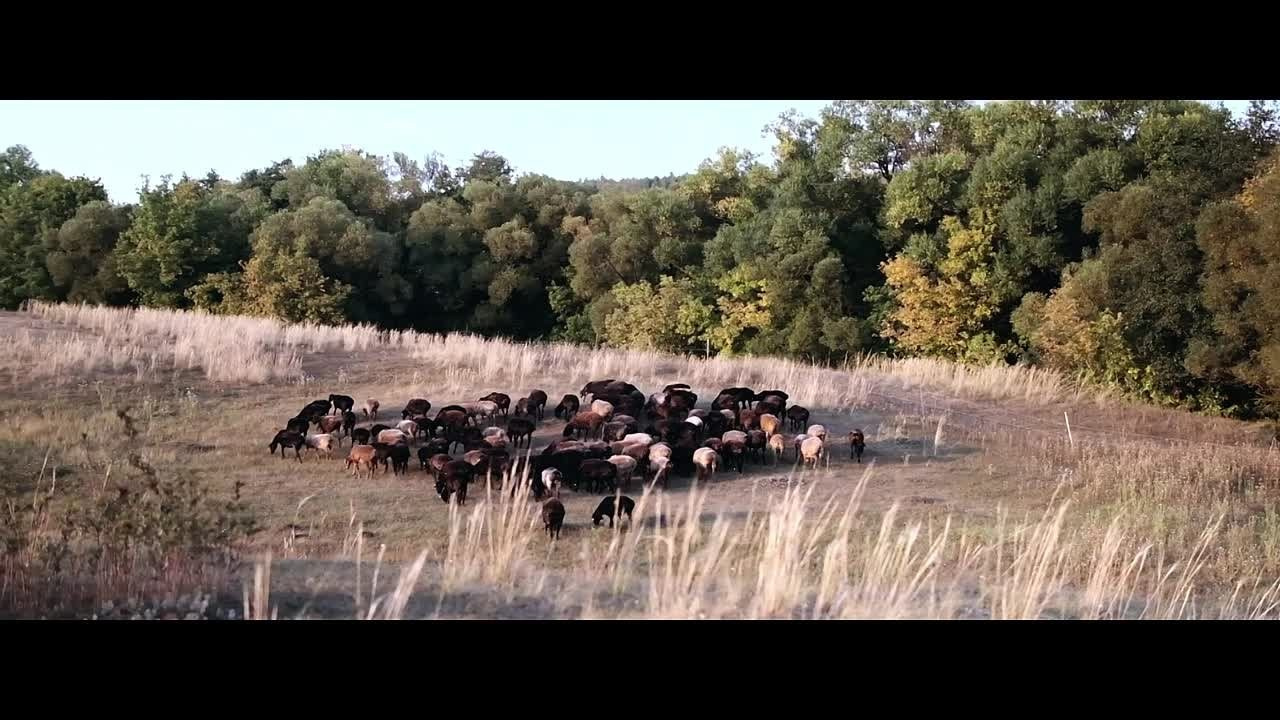 Видеоролики. Фотограф/Видеограф из Саратова