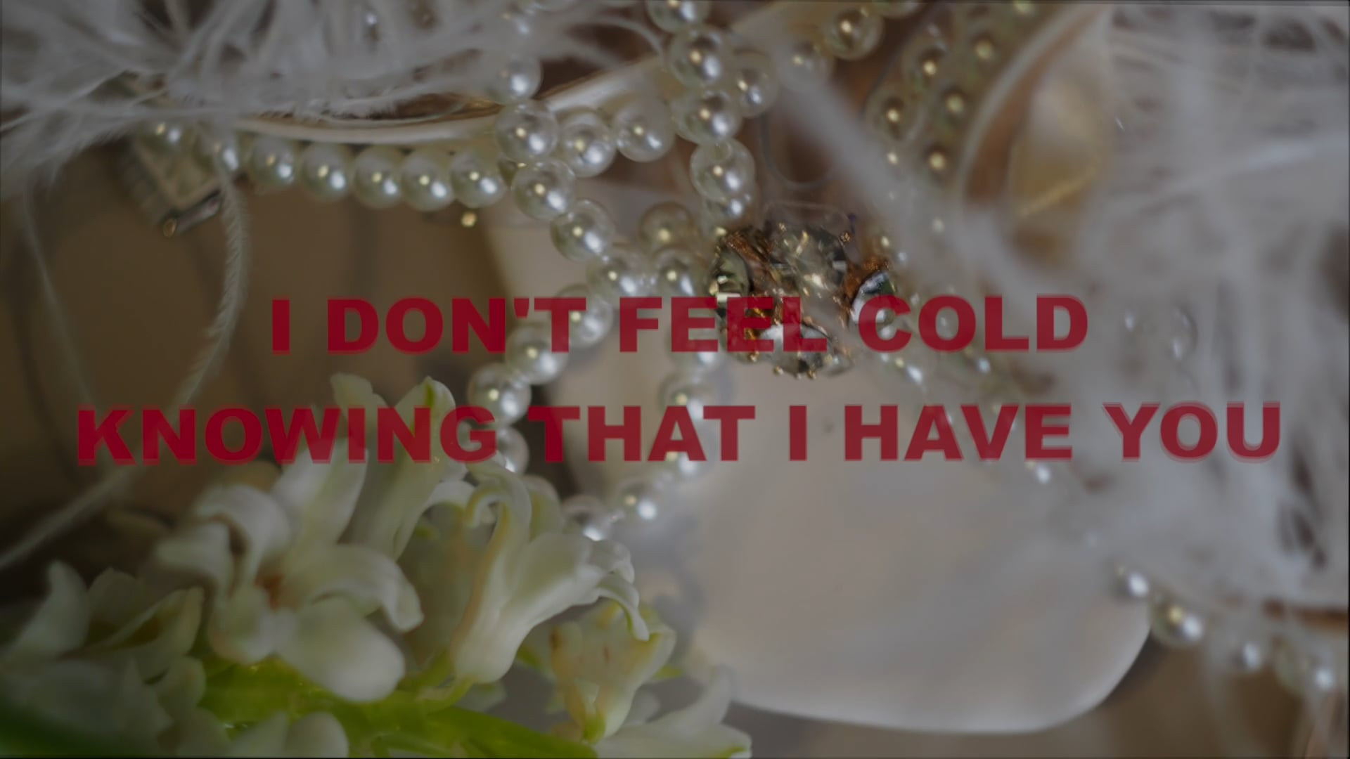 ABOUT. Finogenov Video