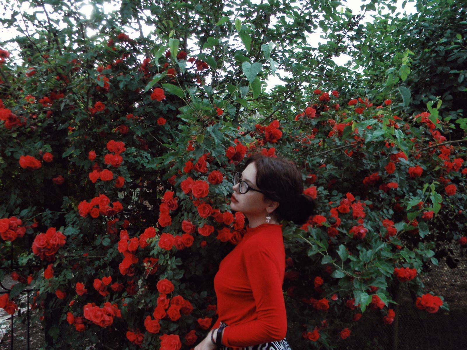 By Анастасия Сигута