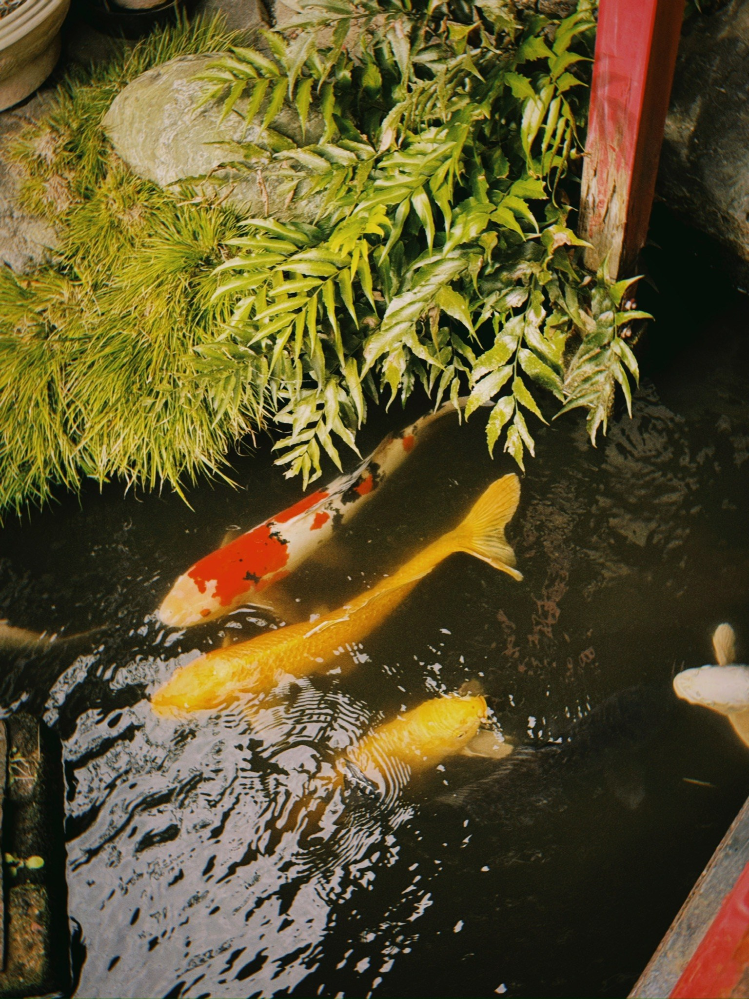 TRAVELERS: гайды, фото из путешествий, личные рекомендации