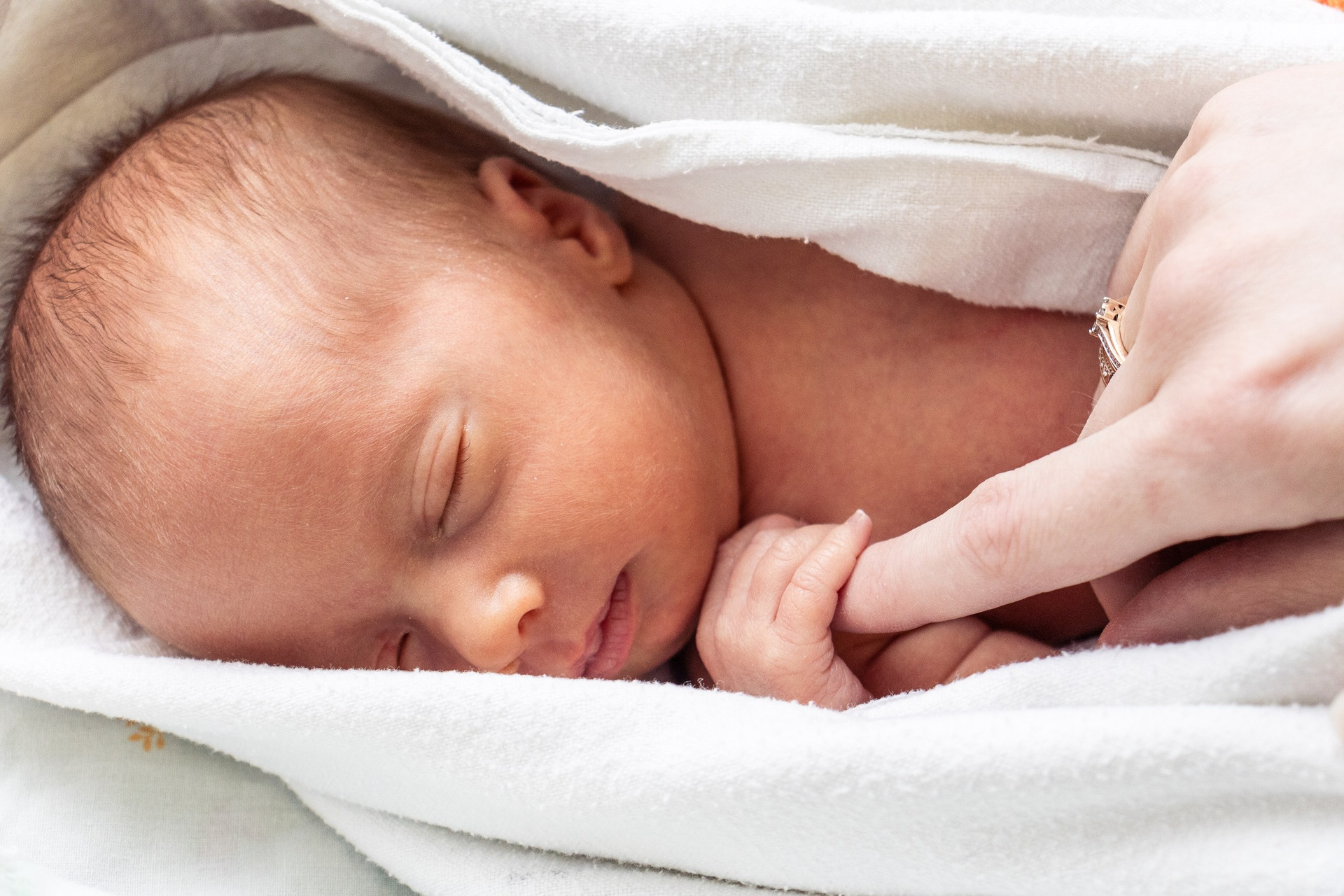 Видео. CLICKVIDA