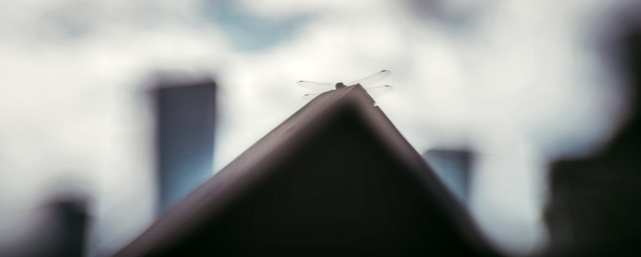 ART BEYOND REASON. International visual artist