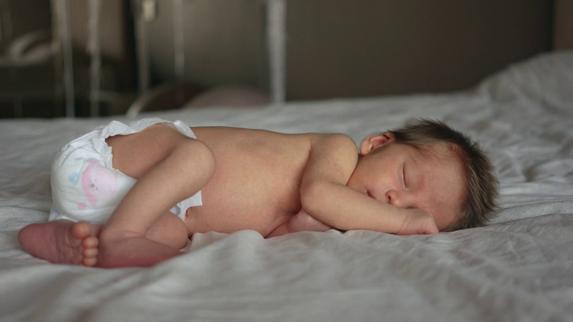 Стоимость съемки. Семейный фотограф в Санкт-Петербурге Дарья Фадеева