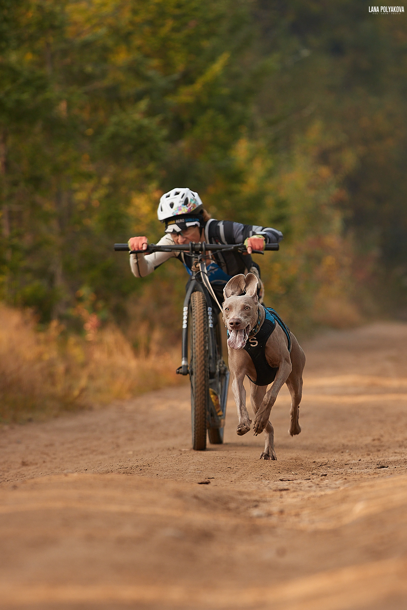 БИОГРАФИЯ. ФОТОГРАФ-АНИМАЛИСТ l LANA POLYAKOVA