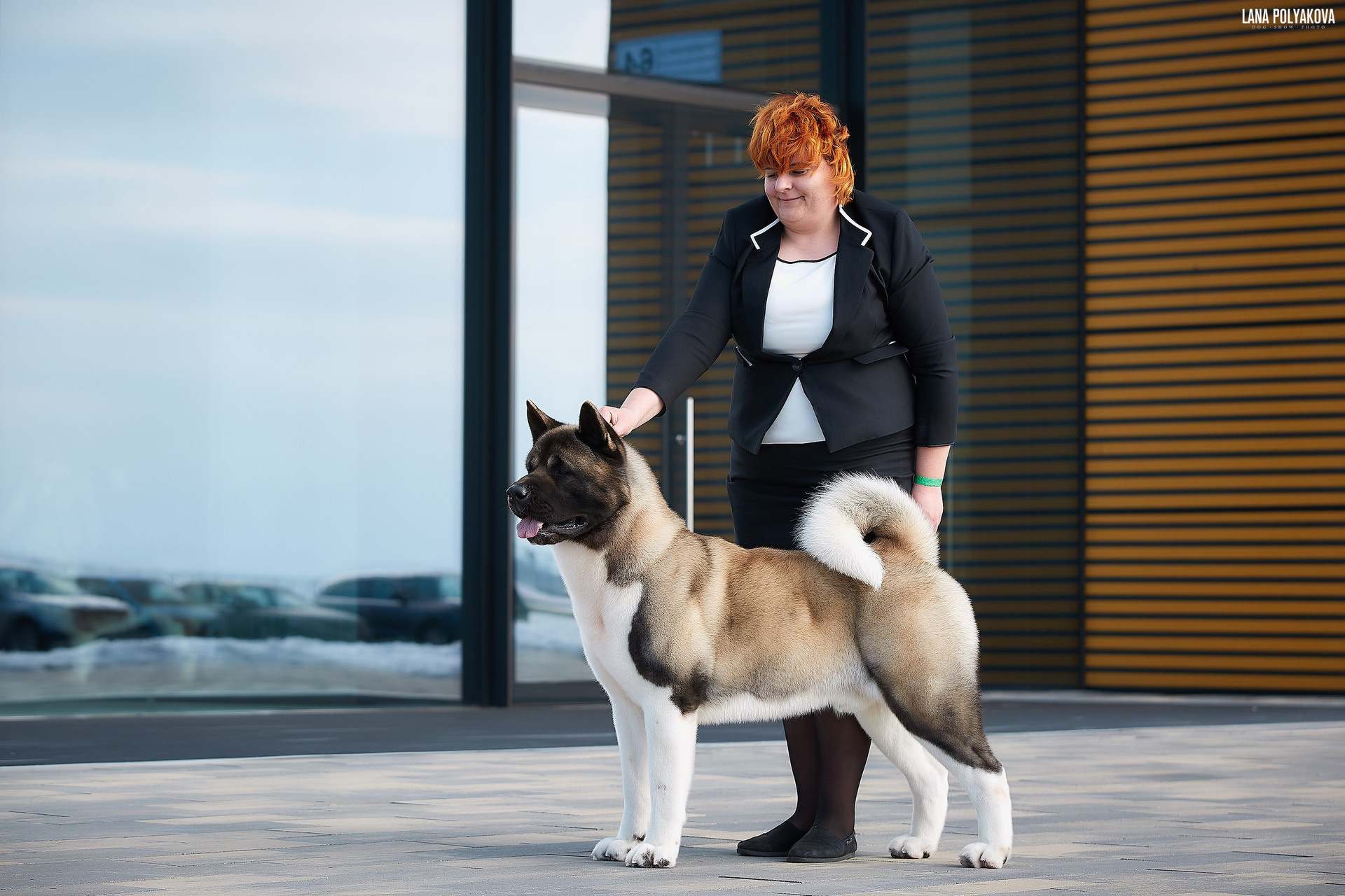 БИОГРАФИЯ. ФОТОГРАФ-АНИМАЛИСТ l LANA POLYAKOVA