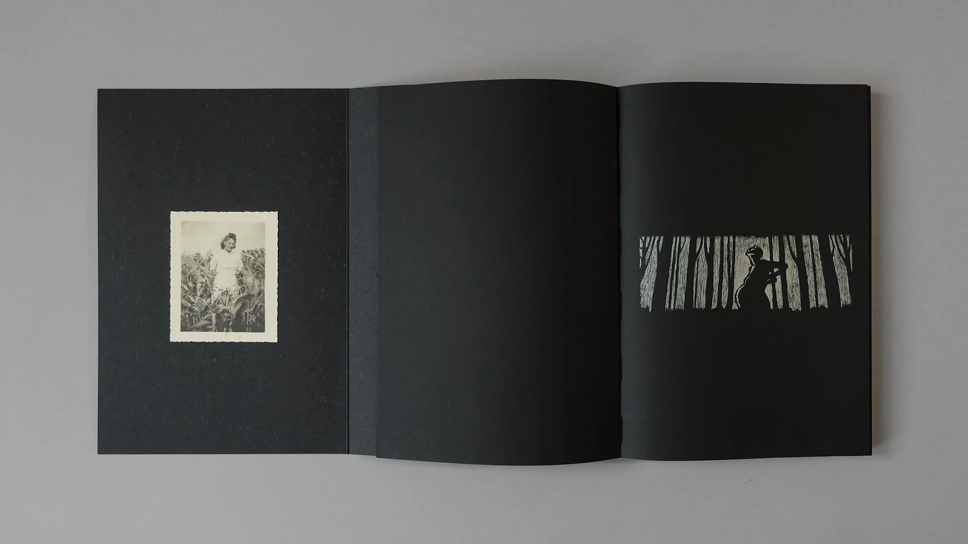 Как форма книги может влиять на концепт?. Самоорганизация Низина