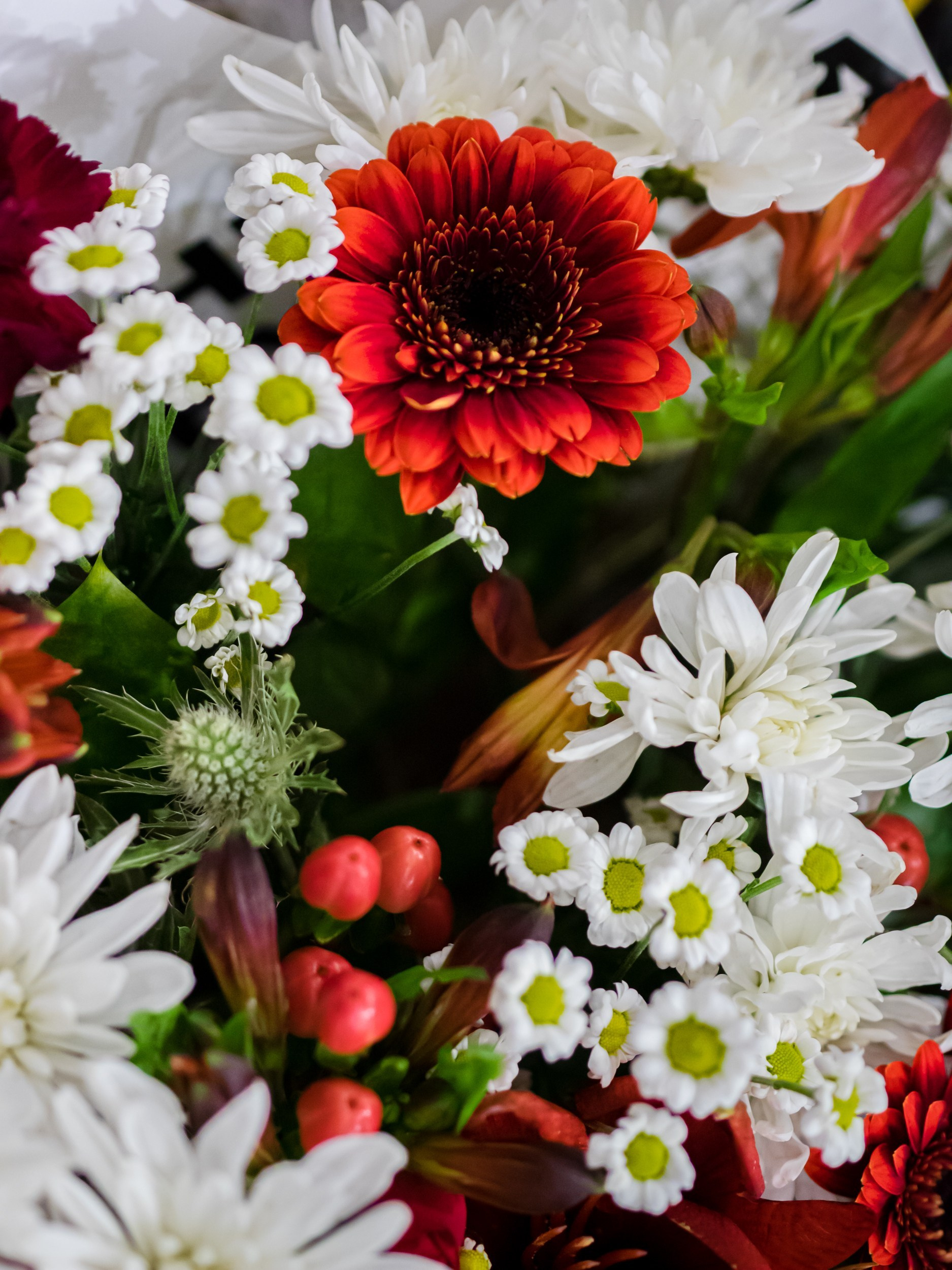 Отзывы. Репортажный и портретный фотограф в Санкт-Петербурге Василина Жук