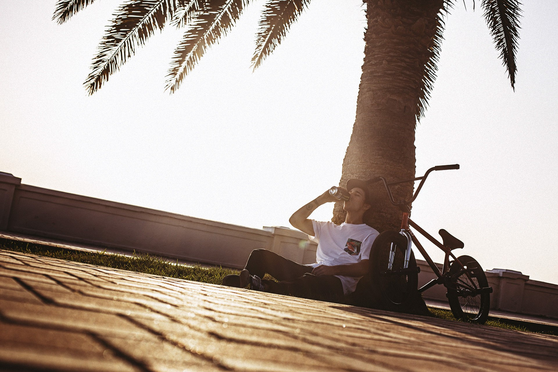 Lifestyle. Bivol images