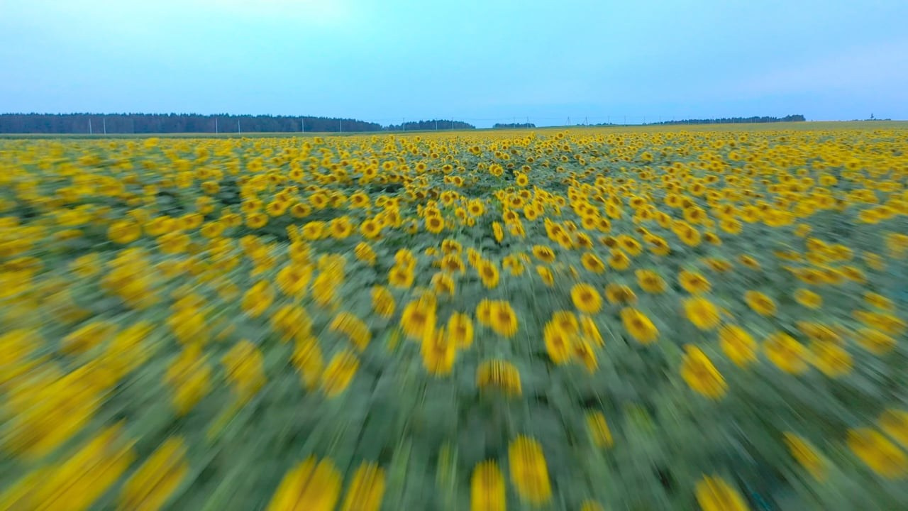 Портфолио. DroneMinsk | Легальная съёмка с дрона для бизнеса и мероприятий. Аэросъёмка в Беларуси