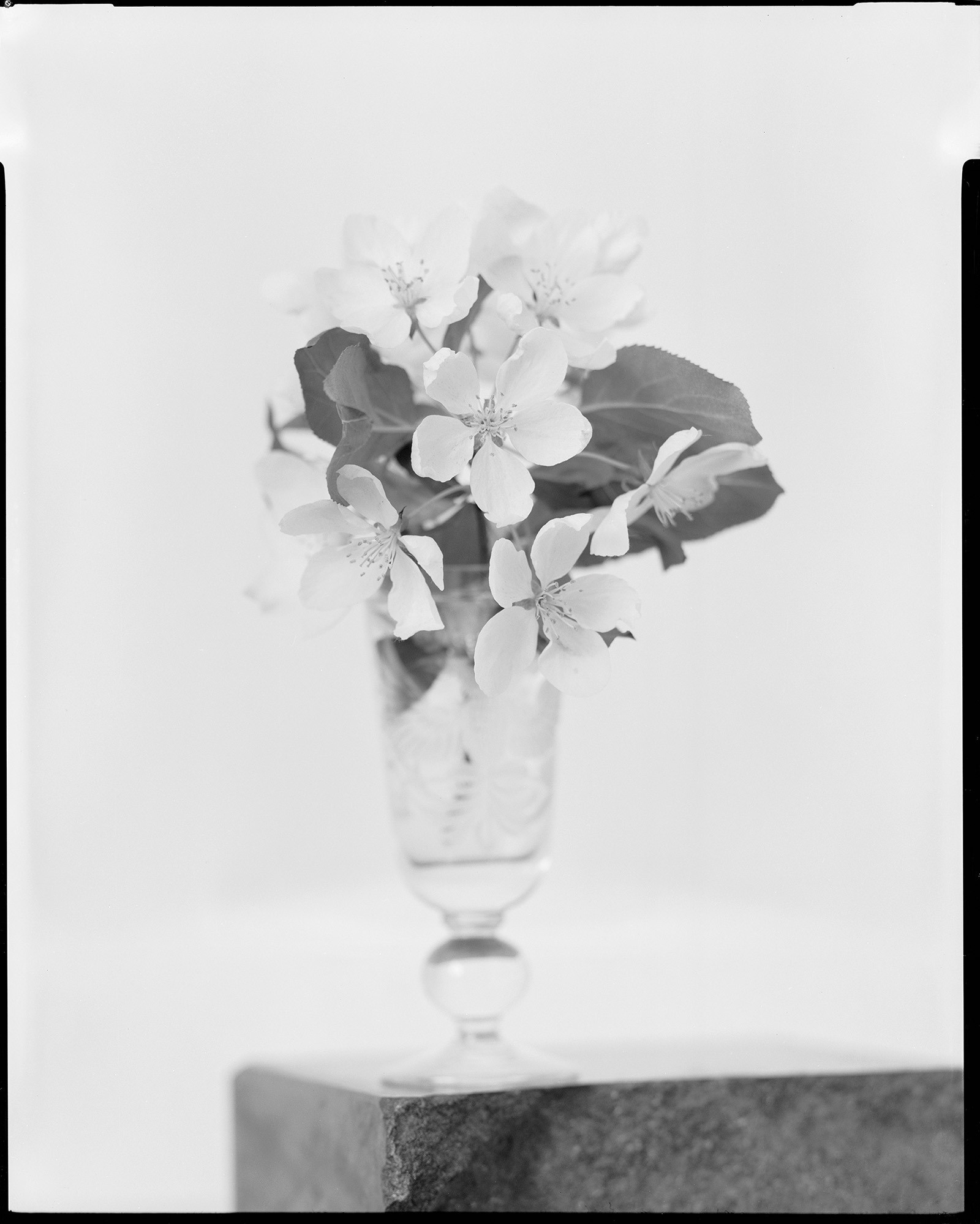 Little Apple Brunch. From "Object Passport".