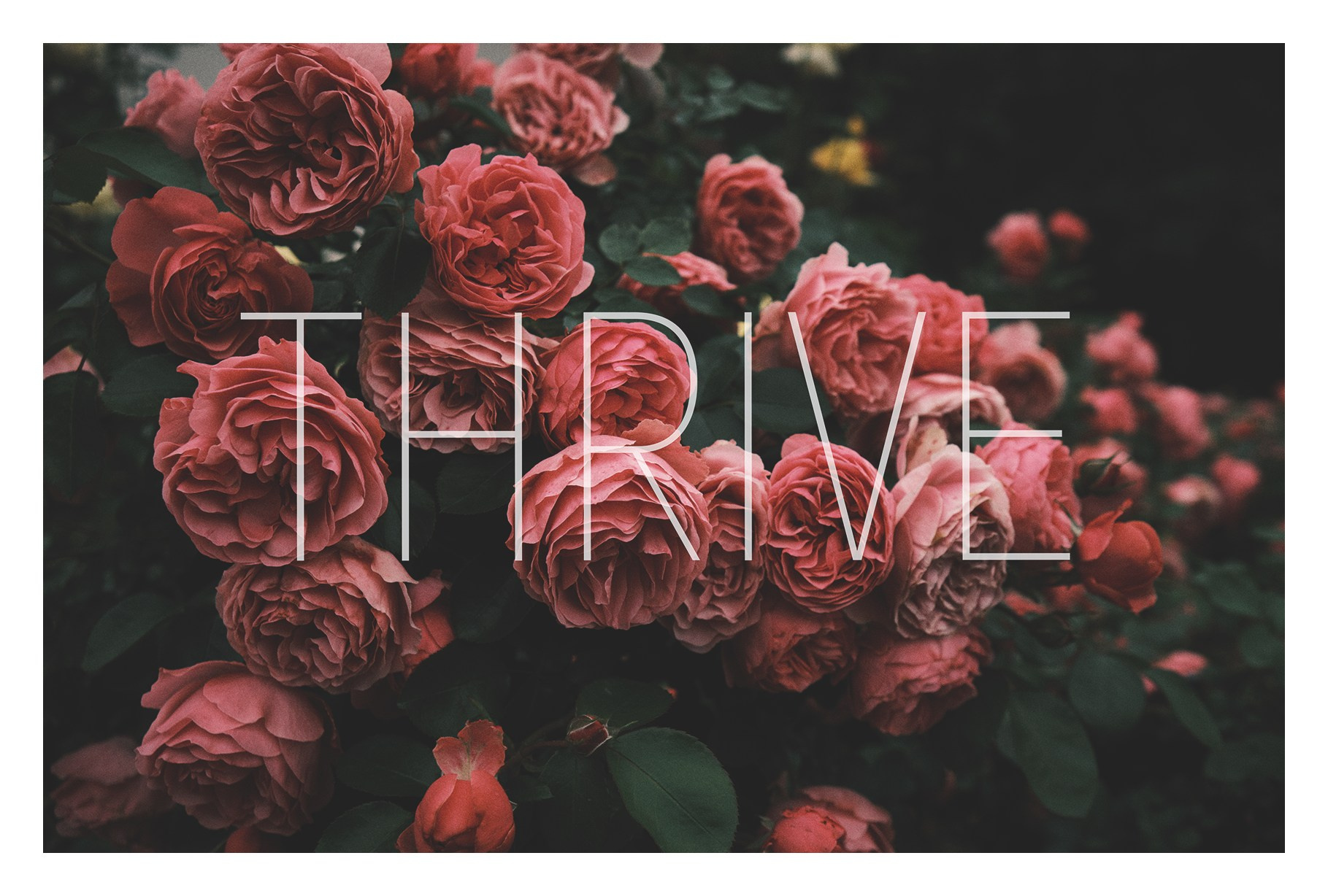 Авторские открытки