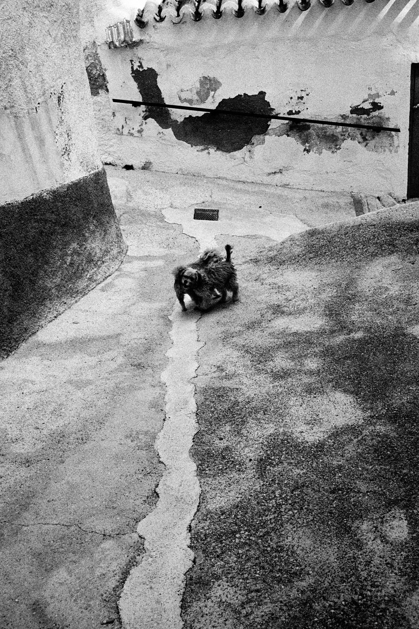 Memories of Spain. Документальный фотограф Алексей Мякишев, Москва