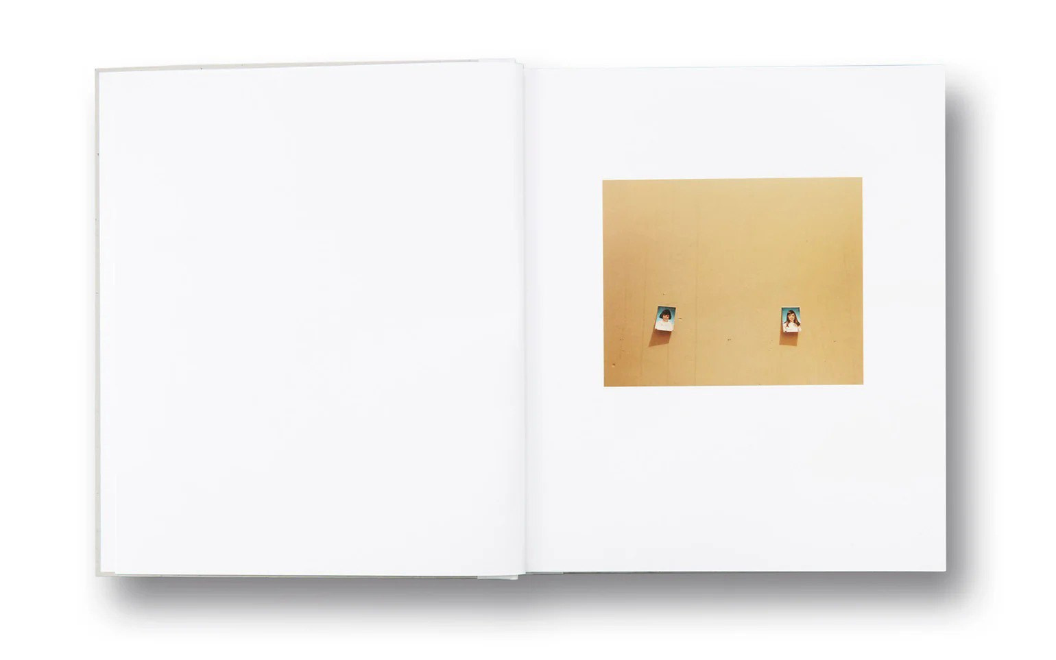 ОБЗОР АКТУАЛЬНЫХ ФОТОКНИГ: Тошнота. Самоорганизация Низина