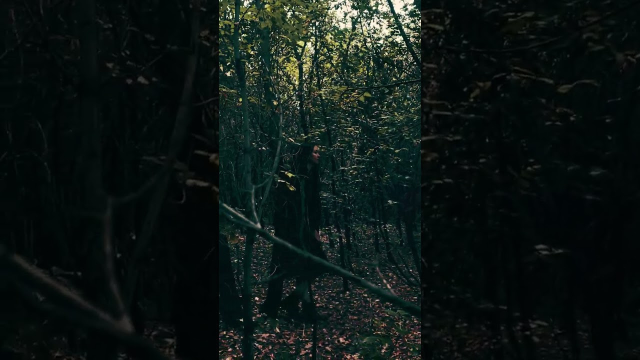 Лесной зов. Фотограф в Кемерово Анастасия