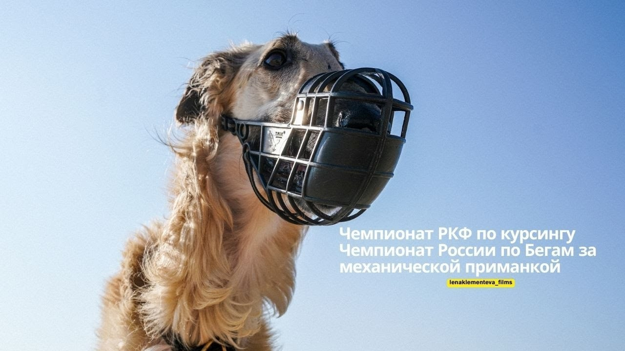 ВИДЕО И МОНТАЖ. Фотограф Казань